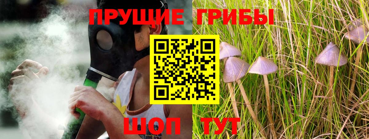 Псилоцибиновые грибы GOLDEN TEACHER  Вход с VPN  Галлюциногенные грибы ЛСД  Балахна 