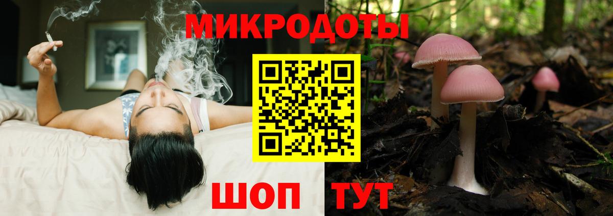 Псилоцибиновые грибы ЛСД Балахна